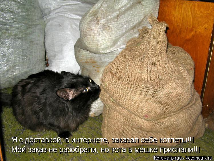 Мой заказ не разобрали, но кота в мешке прислали!!! Я с доставкой, в интернете, заказал себе котлеты!... Котоматрица: Мой заказ не разобрали, но кота в мешке прислали!!! Я с доставкой, в интернете, заказал себе котлеты!!!