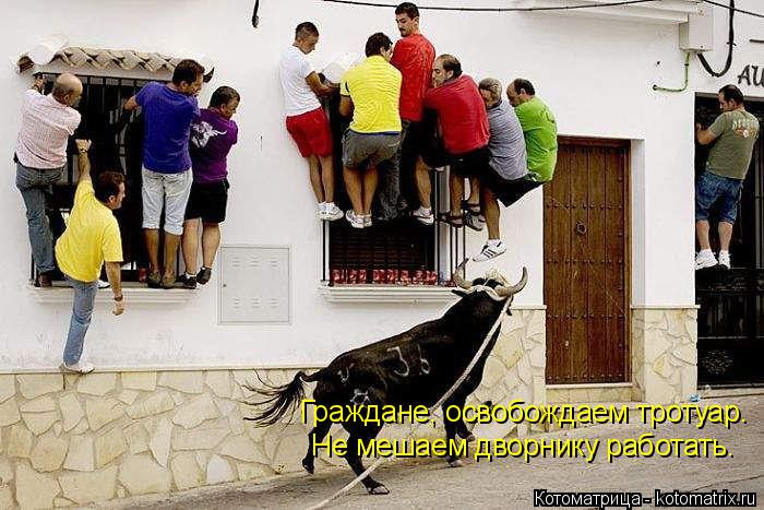 Котоматрица: Граждане, освобождаем тротуар. Не мешаем дворнику работать.