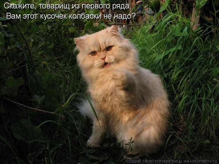 Котоматрица: Скажите, товарищ из первого ряда, Вам этот кусочек колбаски не надо?