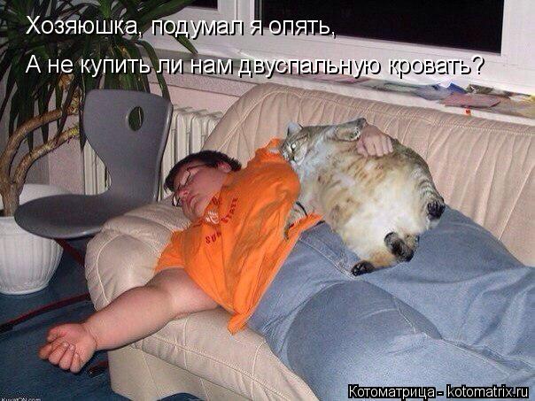 Котоматрица: Хозяюшка, подумал я опять, А не купить ли нам двуспальную кровать?