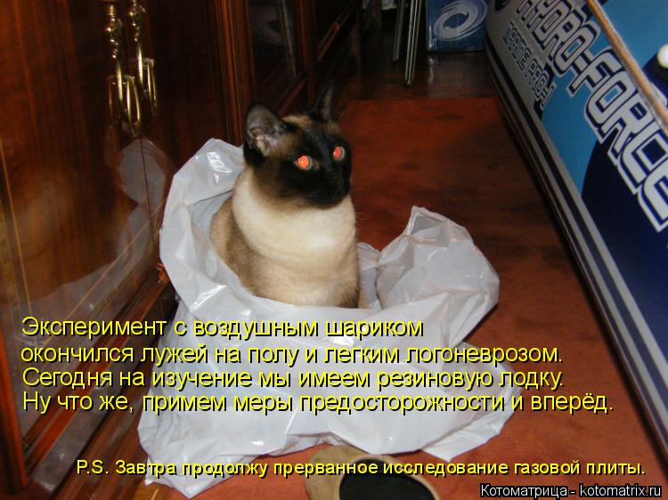 Котоматрица: Эксперимент с воздушным шариком окончился лужей на полу и легким логоневрозом. Сегодня на изучение мы имеем резиновую лодку.  Ну что же, при