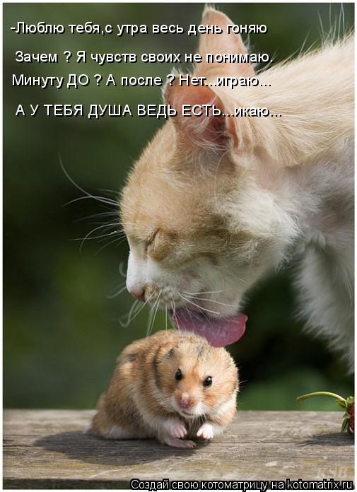 Минуту ДО ? А после ? Нет...играю... А У ТЕБЯ ДУША ВЕДЬ ЕСТЬ...икаю... -Люблю тебя,с утра весь день г... Котоматрица: Минуту ДО ? А после ? Нет...играю... А У ТЕБЯ ДУША ВЕДЬ ЕСТЬ...икаю... -Люблю тебя,с утра весь день гоняю Зачем ? Я чувств своих не понимаю.