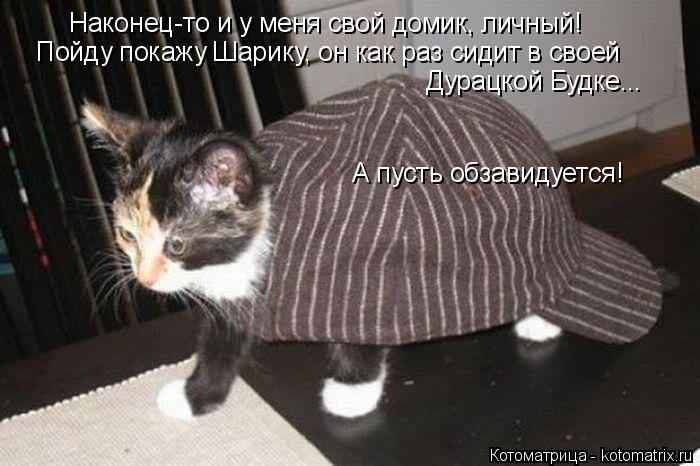 Наконец-то и у меня свой домик, личный! Пойду покажу Шарику, он как раз сидит в своей Дурацкой Будке.... Котоматрица: Наконец-то и у меня свой домик, личный! Пойду покажу Шарику, он как раз сидит в своей Дурацкой Будке... А пусть обзавидуется!