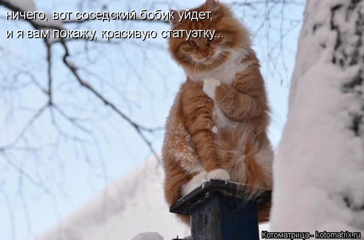 ничего, вот соседский бобик уйдет, и я вам покажу, красивую статуэтку...... Котоматрица: ничего, вот соседский бобик уйдет, и я вам покажу, красивую статуэтку...