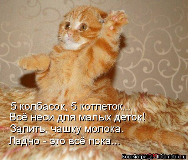 5 колбасок, 5 котлеток... Всё неси для малых деток! Запить, чашку молока. Ладно - это всё пока...... Котоматрица: 5 колбасок, 5 котлеток... Всё неси для малых деток! Запить, чашку молока. Ладно - это всё пока...