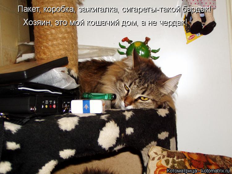 Пакет, коробка, зажигалка, сигареты-такой бардак! Хозяин, это мой кошачий дом, а не чердак!... Котоматрица: Пакет, коробка, зажигалка, сигареты-такой бардак! Хозяин, это мой кошачий дом, а не чердак!