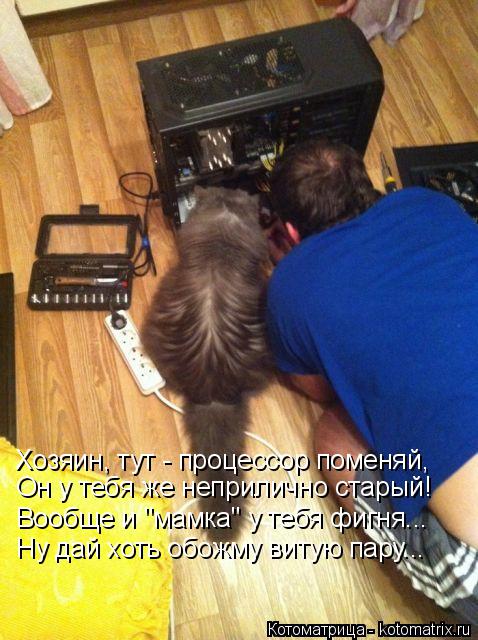 Котоматрица: Хозяин, тут - процессор поменяй, Он у тебя же неприлично старый! Вообще и "мамка" у тебя фигня... Ну дай хоть обожму витую пару...