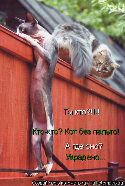 Ты кто?!!!! Кто-кто? Кот без пальто! А где оно? Украдено...... Котоматрица: Ты кто?!!!! Кто-кто? Кот без пальто! А где оно? Украдено...