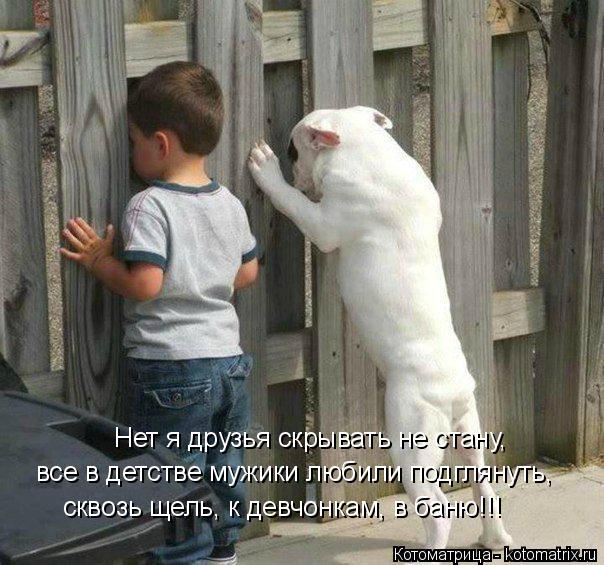 Котоматрица: Нет я друзья скрывать не стану, все в детстве мужики любили подглянуть, сквозь щель, к девчонкам, в баню!!!