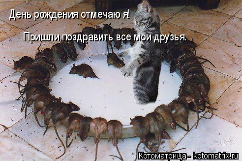 День рождения отмечаю я! Пришли поздравить все мои друзья.... Котоматрица: День рождения отмечаю я! Пришли поздравить все мои друзья.