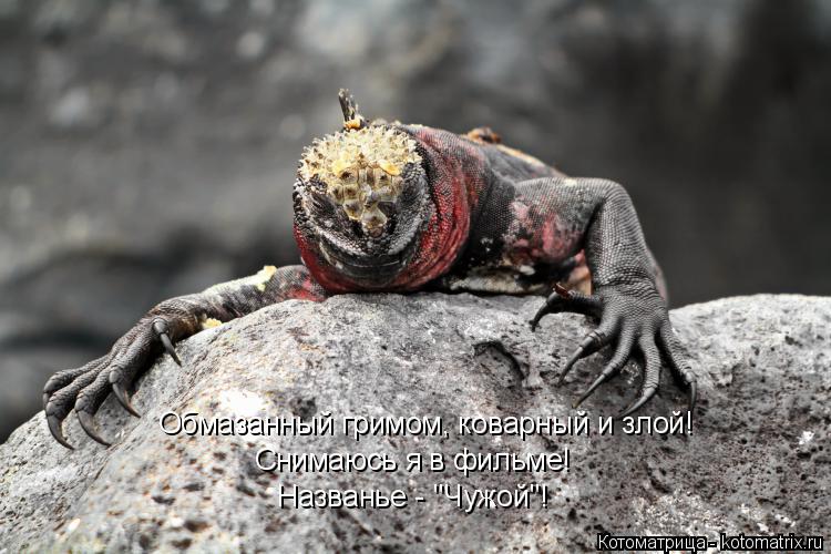 Снимаюсь я в фильме! Названье - "Чужой"! Обмазанный гримом, коварный и злой!... Котоматрица: Снимаюсь я в фильме! Названье - "Чужой"! Обмазанный гримом, коварный и злой!