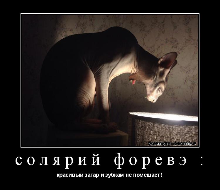 солярий форевэ : красивый загар и зубкам не помешает !... Котоматрица: солярий форевэ : красивый загар и зубкам не помешает !