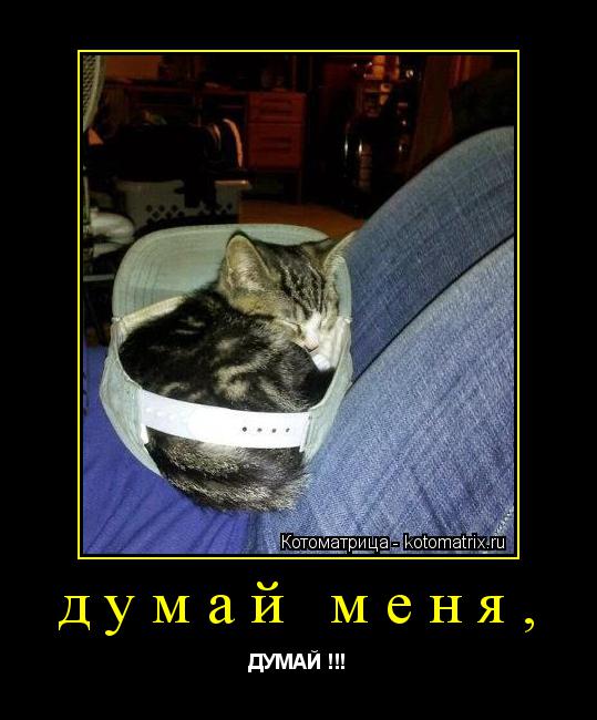 думай меня, ДУМАЙ !!!... Котоматрица: думай меня, ДУМАЙ !!!
