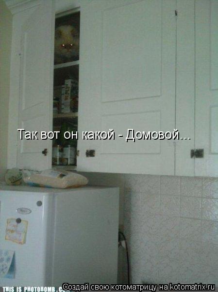 Котоматрица: Так вот он какой - Домовой…