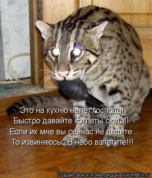 Котоматрица: Это на кухню налет господа! Быстро давайте котлеты сюда!! Если их мне вы сейчас не дадите... То извиняюсь...В небо взлетите!!!