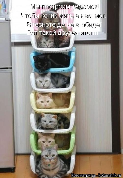 Котоматрица: Мы построим теремок! Чтобы котик жить в нем мог! В тесноте да не в обиде! Вот такой друзья итог!!!