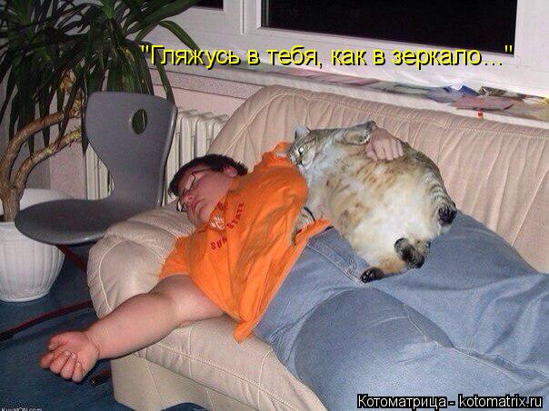 Котоматрица: "Гляжусь в тебя, как в зеркало…"