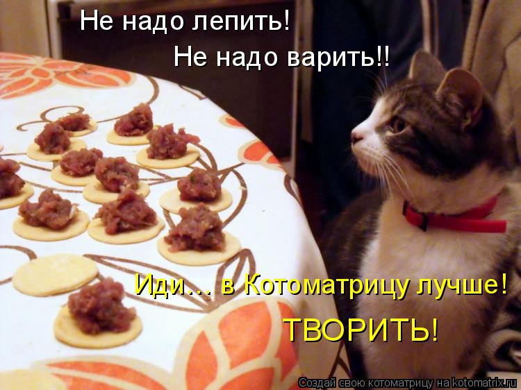 Не надо лепить! Не надо варить!! Иди… в Котоматрицу лучше! ТВОРИТЬ!... Котоматрица: Не надо лепить! Не надо варить!! Иди… в Котоматрицу лучше! ТВОРИТЬ!
