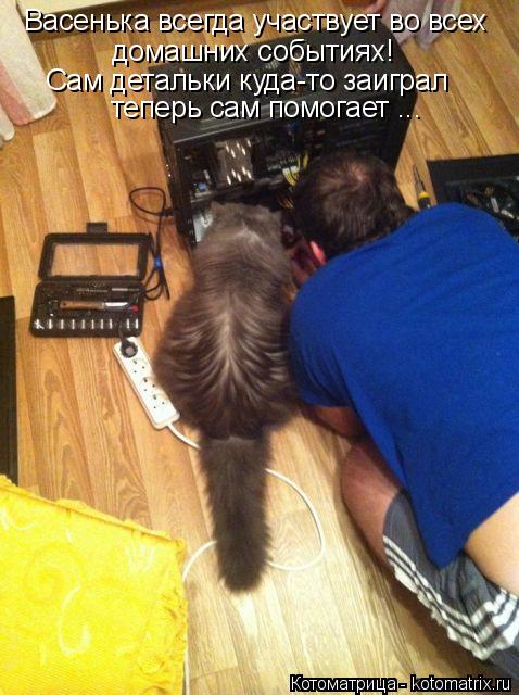 Котоматрица: домашних событиях! Васенька всегда участвует во всех Сам детальки куда-то заиграл  теперь сам помогает ...