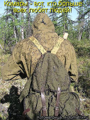 Котоматрица: Комары - вот, кто больше всех любят людей!