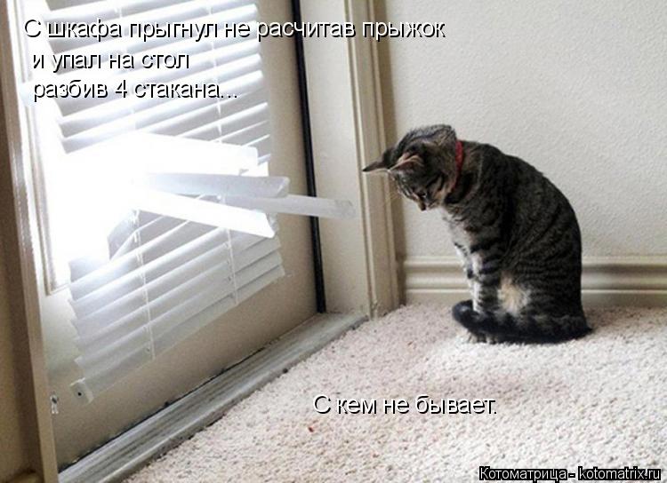 Котоматрица: С шкафа прыгнул не расчитав прыжок и упал на стол разбив 4 стакана... С кем не бывает.