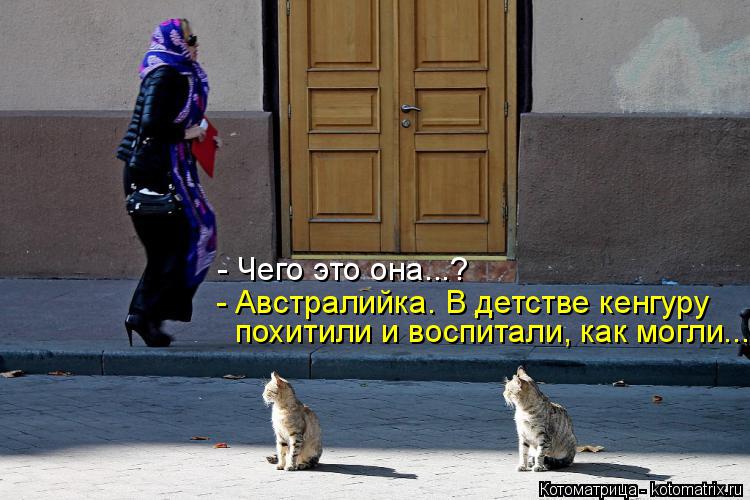Котоматрица: - Чего это она...? - Австралийка. В детстве кенгуру похитили и воспитали, как могли...
