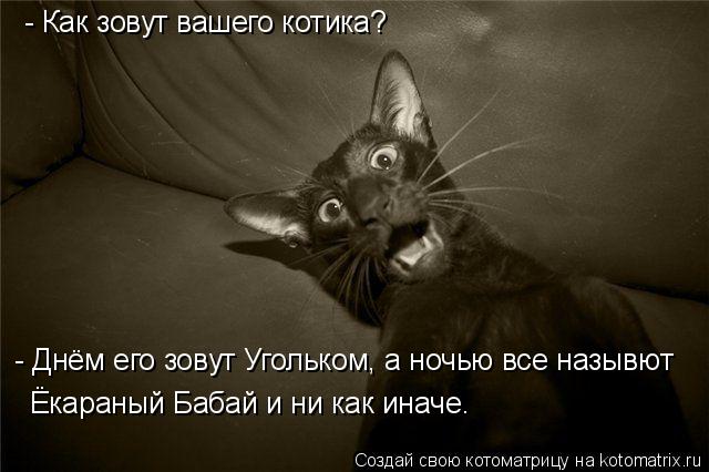 Котоматрица: - Как зовут вашего котика? - Днём его зовут Угольком, а ночью все назывют Ёкараный Бабай и ни как иначе.