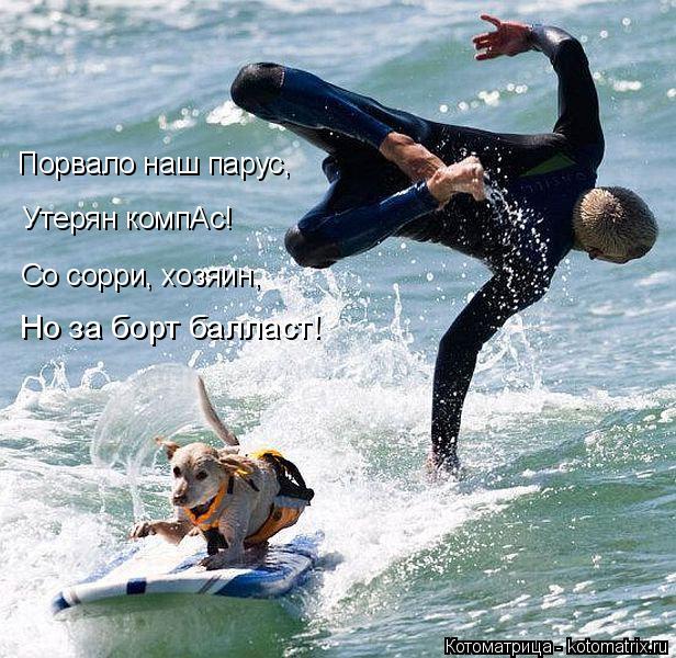 Котоматрица: Порвало наш парус, Утерян компАс! Со сорри, хозяин, Но за борт балласт!