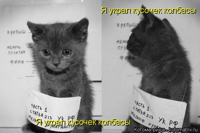 Котоматрица: Я украл кусочек колбасы Я украл кусочек колбасы Я украл кусочек колбасы
