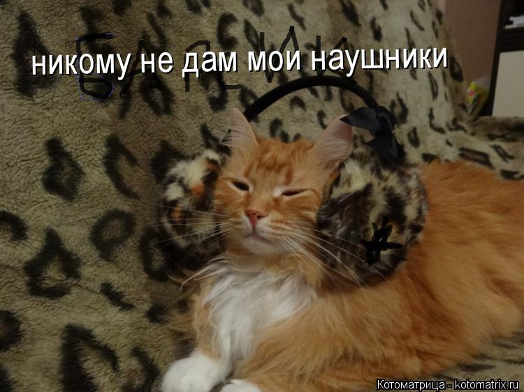 Котоматрица: никому не дам мои наушники