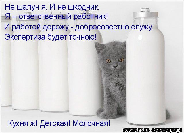 Котоматрица: Не шалун я. И не шкодник. Я – ответственный работник! И работой дорожу - добросовестно служу. Экспертиза будет точною! Кухня ж! Детская! Молоч