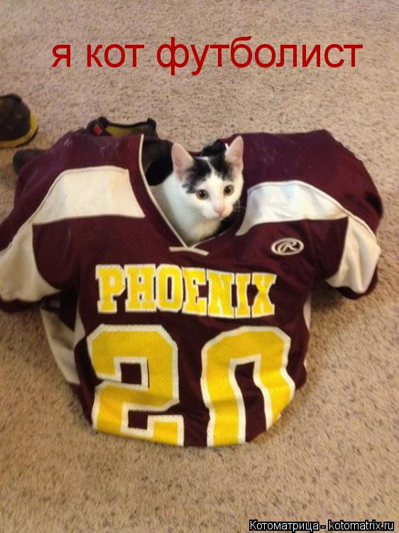 Котоматрица: я кот футболист