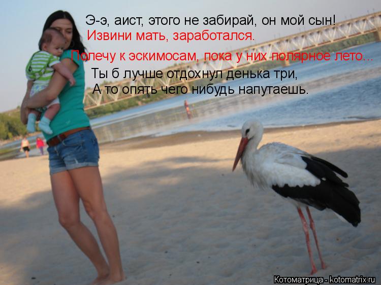 Котоматрица: Э-э, аист, этого не забирай, он мой сын! Извини мать, заработался. Полечу к эскимосам, пока у них полярное лето... Ты б лучше отдохнул денька три