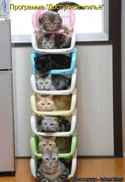 Котоматрица: Программа "Доступное жильё"