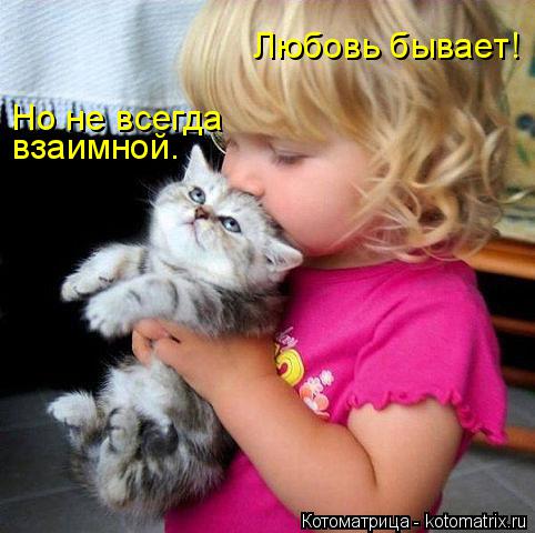 Котоматрица: Любовь бывает! взаимной. Но не всегда