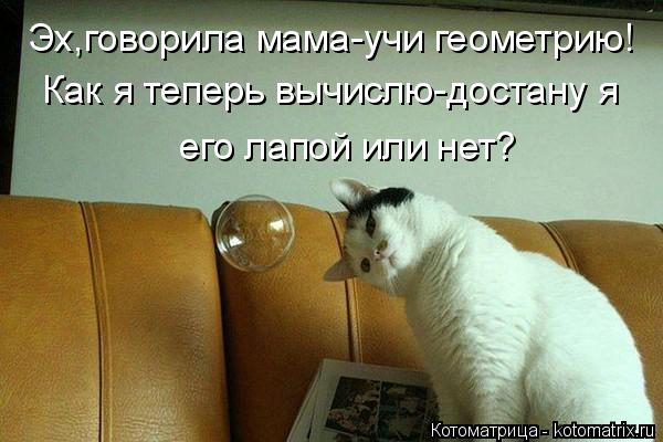 Котоматрица: Эх,говорила мама-учи геометрию! Как я теперь вычислю-достану я  его лапой или нет?