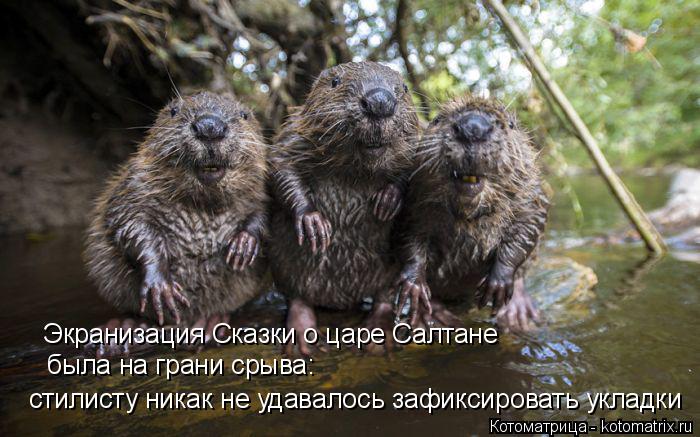 Котоматрица: Экранизация Сказки о царе Салтане была на грани срыва: стилисту никак не удавалось зафиксировать укладки