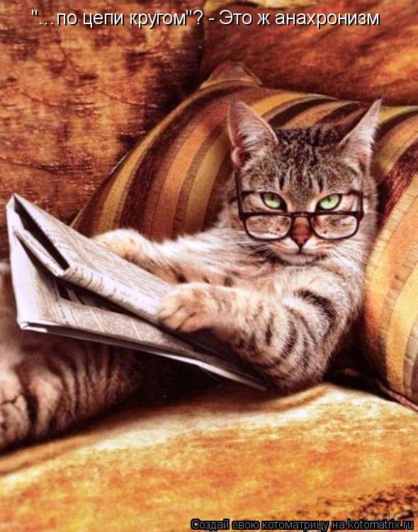 Котоматрица: "…по цепи кругом"? - Это ж анахронизм