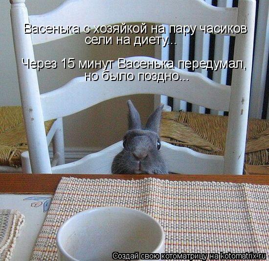 Котоматрица: Васенька с хозяйкой на пару часиков  сели на диету... Через 15 минут Васенька передумал,  но было поздно...