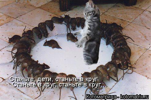 Станьте, дети, станьте в круг Станьте в круг, станьте в круг…... Котоматрица: Станьте, дети, станьте в круг Станьте в круг, станьте в круг…