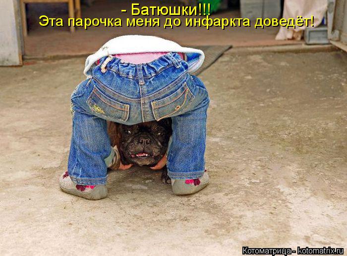 Эта парочка меня до инфаркта доведёт! - Батюшки!!!... Котоматрица: Эта парочка меня до инфаркта доведёт! - Батюшки!!!