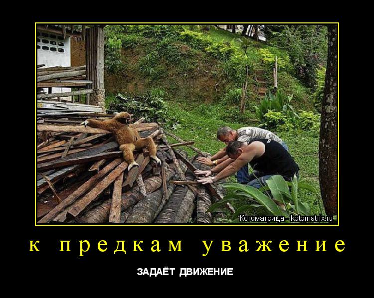 Котоматрица: к предкам уважение ЗАДАЁТ  ДВИЖЕНИЕ 