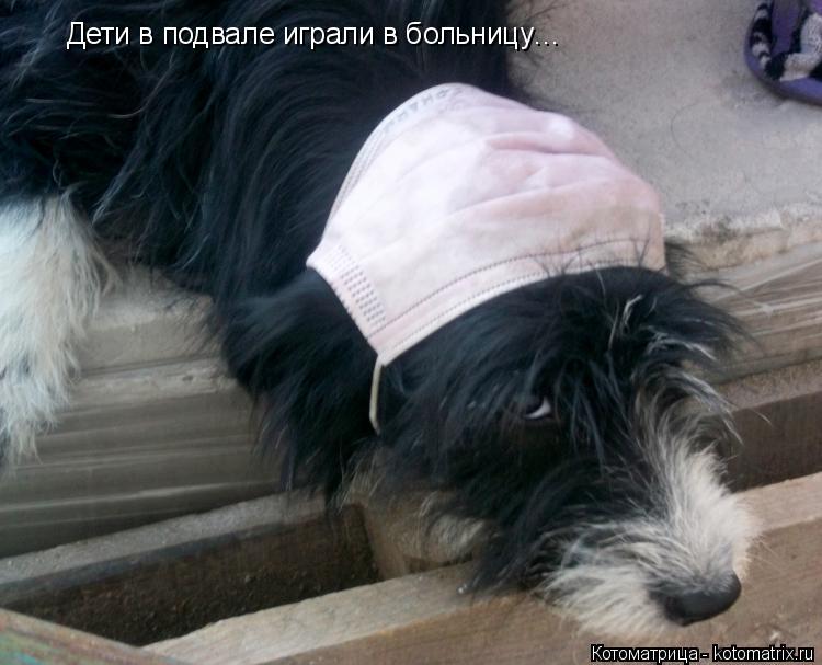 Котоматрица: Дети в подвале играли в больницу…
