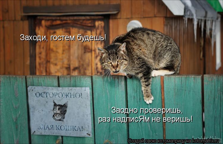 Котоматрица: Заходи, гостем будешь! Заодно проверишь, раз надписЯм не веришь!