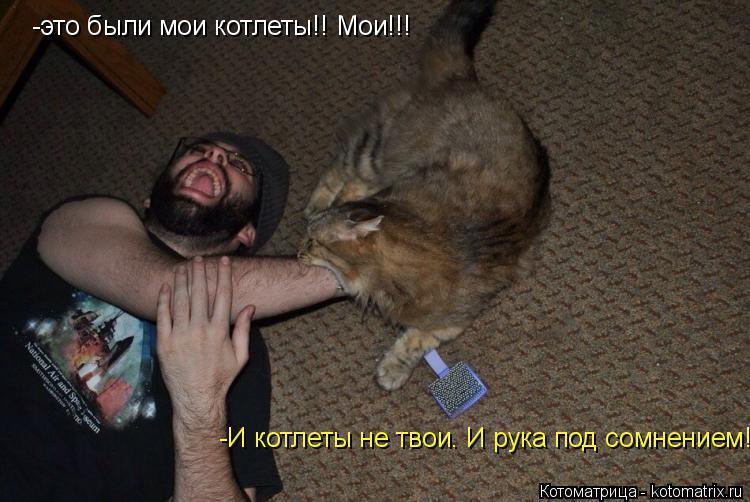 Котоматрица: -это были мои котлеты!! Мои!!! -И котлеты не твои. И рука под сомнением!