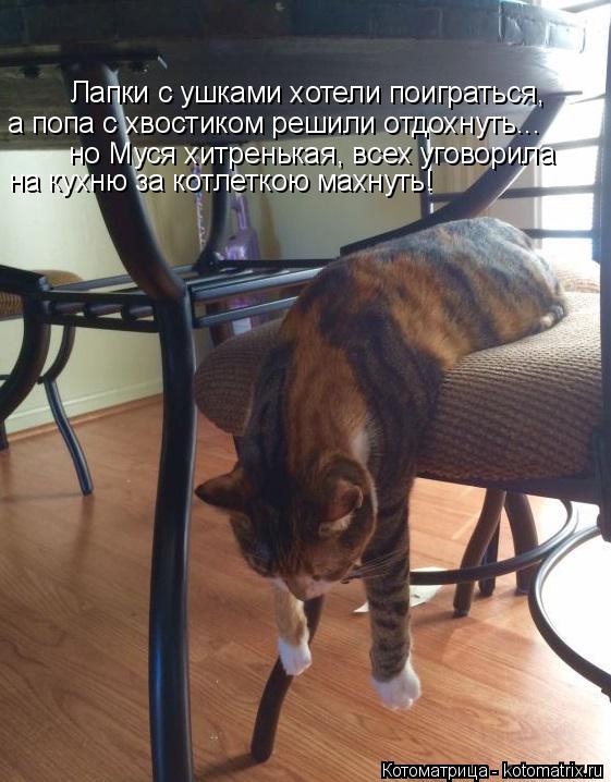 Котоматрица: Лапки с ушками хотели поиграться,  а попа с хвостиком решили отдохнуть... но Муся хитренькая, всех уговорила на кухню за котлеткою махнуть!
