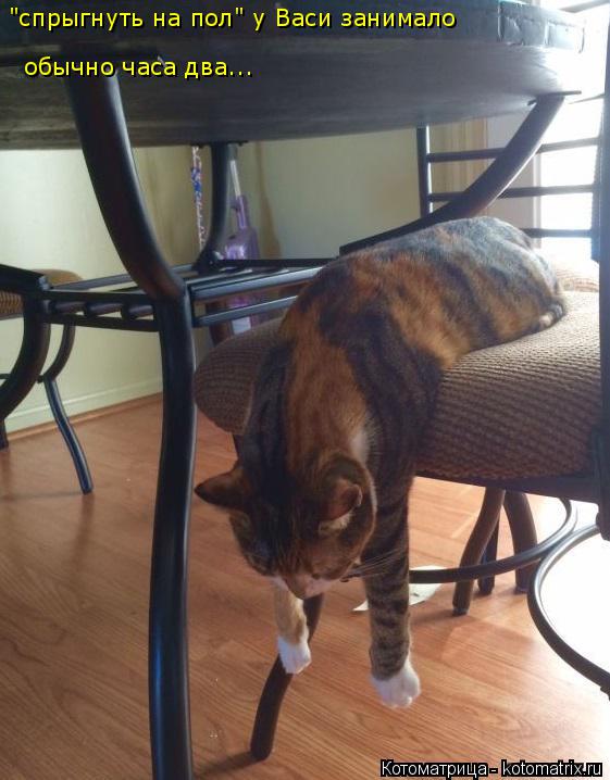 Котоматрица: "спрыгнуть на пол" у Васи занимало  обычно часа два...