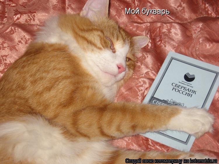 Котоматрица: Мой букварь