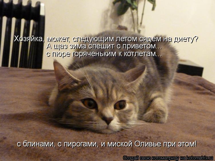 Котоматрица: Хозяйка, может, следующим летом сядем на диету?  А щаз зима спешит с приветом... с пюре горяченьким к котлетам...  с блинами, с пирогами, и миско