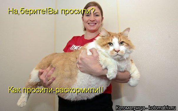 На,берите!Вы просили? Как просили-раскормили!!... Котоматрица: На,берите!Вы просили? Как просили-раскормили!!
